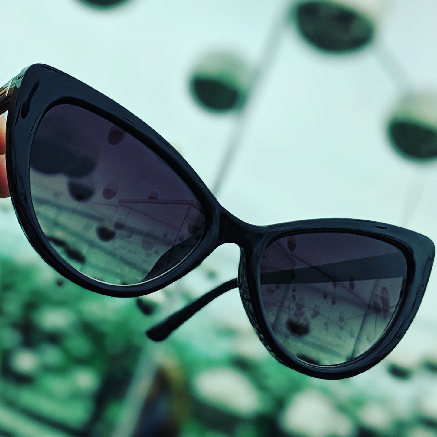 Black Cat-Eye Sunglasses