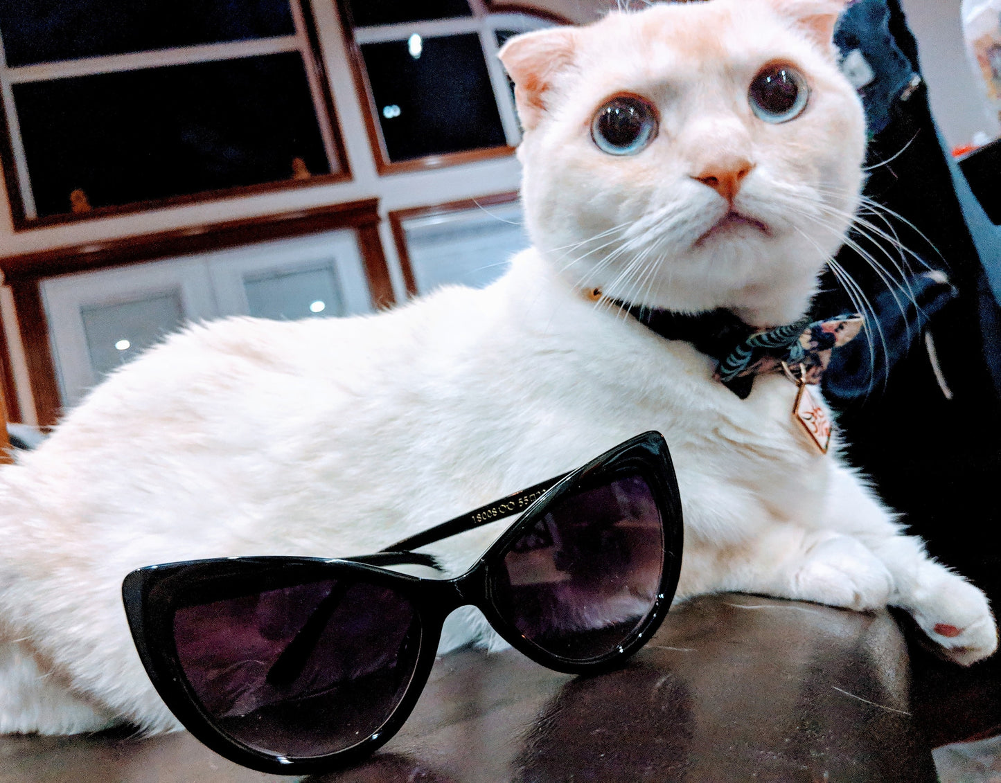 Black Cat-Eye Sunglasses