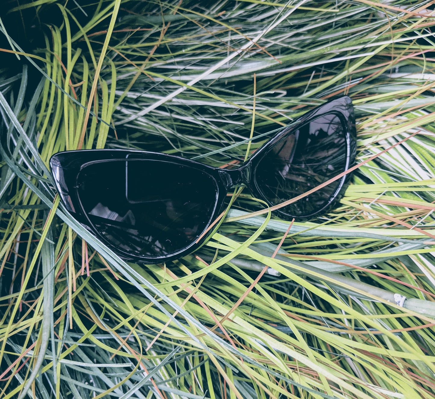 Black Cat-Eye Sunglasses