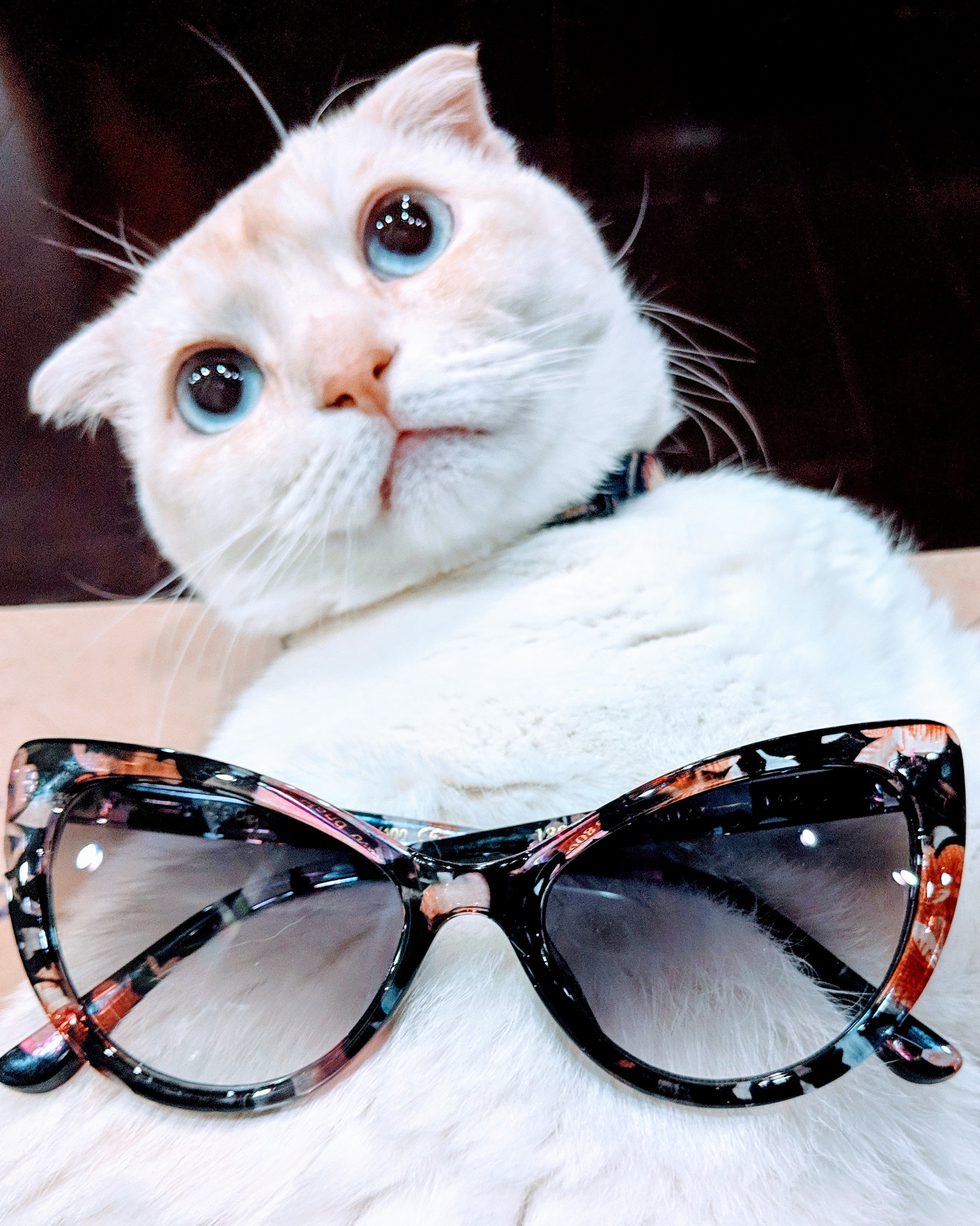 Flower cat cheap eye sunglasses